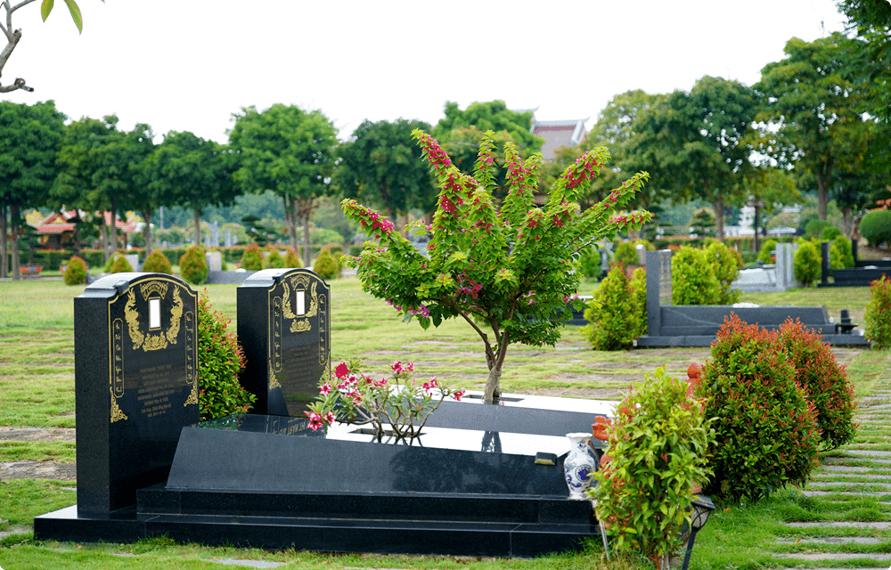 Mộ đơn tiêu chuẩn