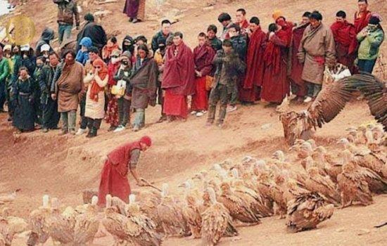 ĐIỂU TÁNG LÀ GÌ? LÝ GIẢI THỦ TỤC CHÔN CẤT