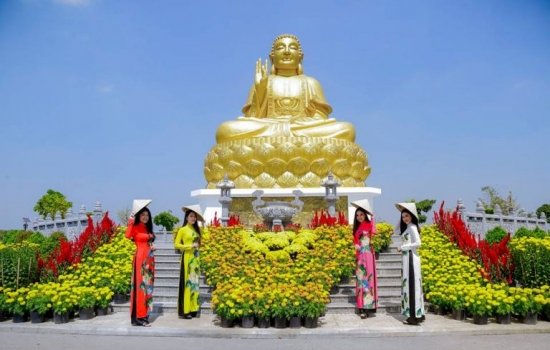  Không Khí Tết Nguyên Đán Tại Hoa Viên Bình An