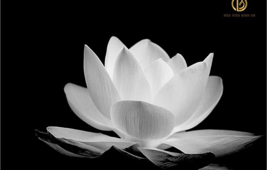 NHỮNG ĐIỀU KIÊNG KỴ TRONG THỜI GIAN ĐỂ TANG MÀ BẠN CẦN LƯU Ý ĐỂ TRÁNH TAI BAY VẠ GIÓ