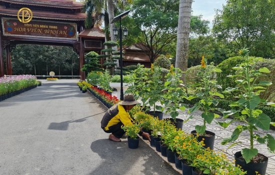 Ý nghĩa và bài văn khấn phong tục tảo mộ của người Việt