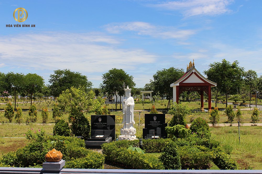 Dễ chăm sóc và hợp phong thuỷ