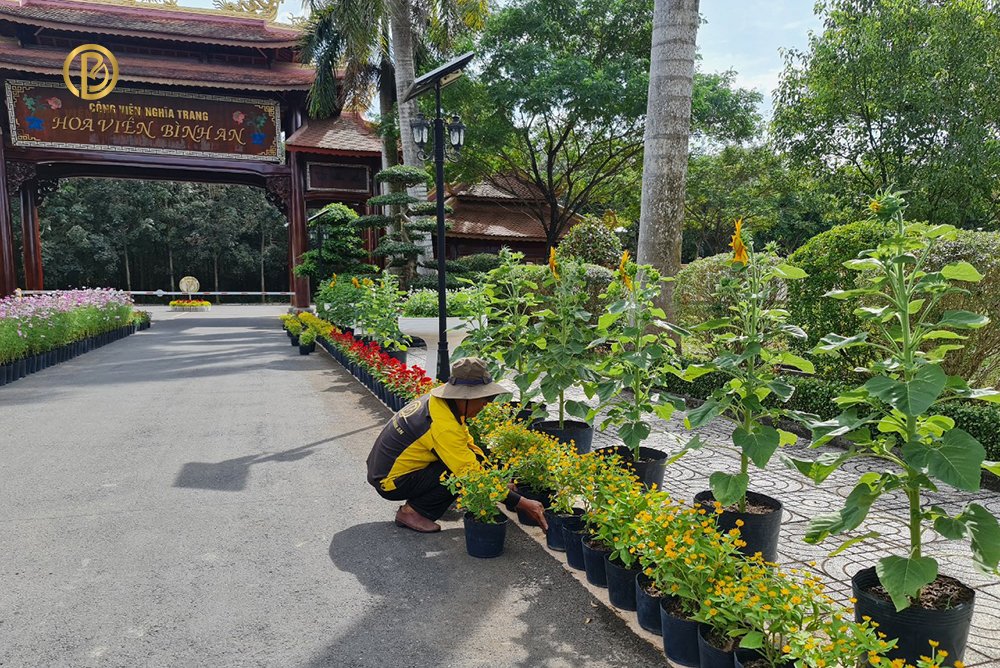 Tảo mộ cũng là dịp để con cháu sum vầy và giãi bày tâm tư, tình cảm 